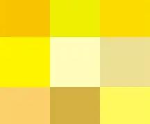  足协杯最新比赛结果 